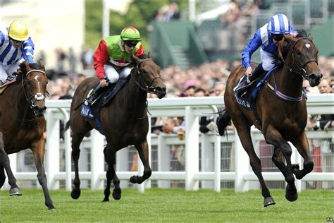 bbc sport horse|bbc sport horse racing today.